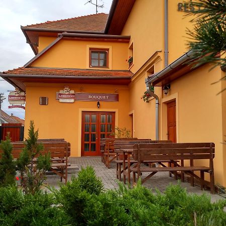 Penzion Bouquet Horni Vestonice Exterior foto