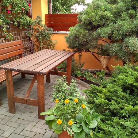 Penzion Bouquet Horni Vestonice Exterior foto